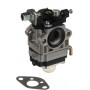Carburateur HIKOKI 6690474