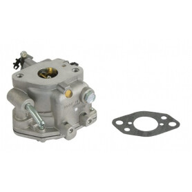 Carburateur BRIGGS ET STRATTON 809008