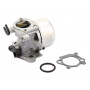 Carburateur BRIGGS ET STRATTON 799871