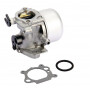 Carburateur BRIGGS ET STRATTON 799866