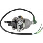 Carburateur BRIGGS ET STRATTON 799773