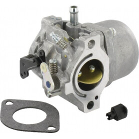 Carburateur BRIGGS ET STRATTON 799728