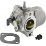 Carburateur BRIGGS ET STRATTON 799728