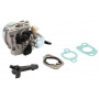 Carburateur BRIGGS ET STRATTON 797283