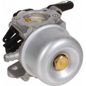 Carburateur BRIGGS ET STRATTON 796608