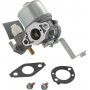 Carburateur BRIGGS ET STRATTON 796447