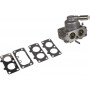 Carburateur BRIGGS ET STRATTON 792295