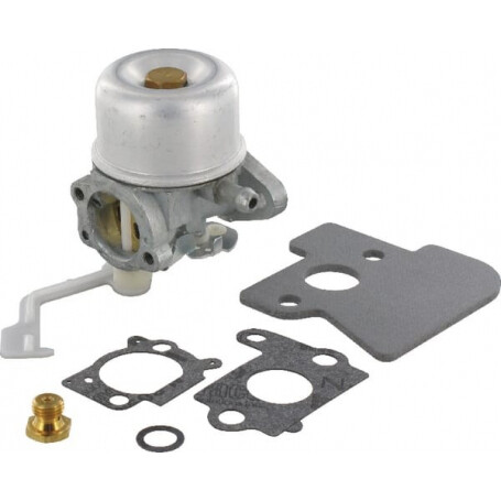 Carburateur BRIGGS ET STRATTON 698055