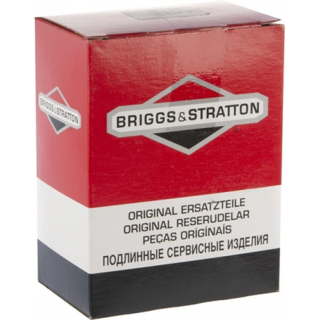 Carburateur BRIGGS ET STRATTON 595776