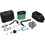 Carburateur BRIGGS ET STRATTON 591925