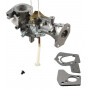 Carburateur BRIGGS ET STRATTON 495459