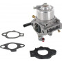 Carburateur BRIGGS ET STRATTON 492256