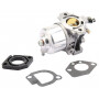 Carburateur BRIGGS ET STRATTON 491912WM