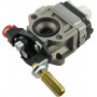 Carburateur ALPINA ALP4353290