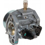 Carburateur AL-KO AK455229