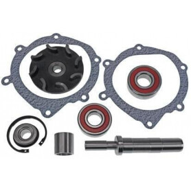 Kit de réparation VAPORMATIC VPE2074