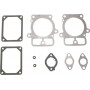 Kit joints d'étanchéité BRIGGS ET STRATTON 594214