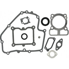 Kit de joints BRIGGS ET STRATTON 793623