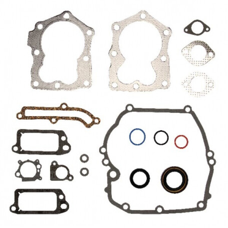 Kit de joints BRIGGS ET STRATTON 590508