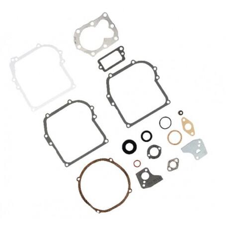 Kit de joint moteur BRIGGS ET STRATTON 795971
