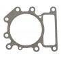 Joint de culasse BRIGGS ET STRATTON 794114