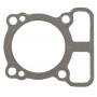 Joint de culasse BRIGGS ET STRATTON 793455
