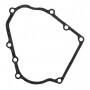 Joint de carter BRIGGS ET STRATTON 711174