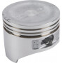 Piston HONDA 13101ZH7010