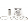 Piston complet UNIVERSEL 1930186N