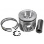 Piston complet VAPORMATIC VPB3001