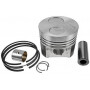 Piston complet VAPORMATIC VPB3862