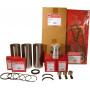 Kit piston VAPORMATIC VPB9451