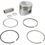 Piston BRIGGS ET STRATTON 825796