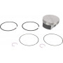Piston BRIGGS ET STRATTON 594539
