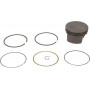 Piston BRIGGS ET STRATTON 592360