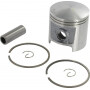 Piston Complet GOPART 11060302003GP