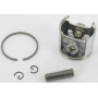 Piston complet ALPINA ALP8541120