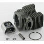 Piston ALPINA ALP8541110