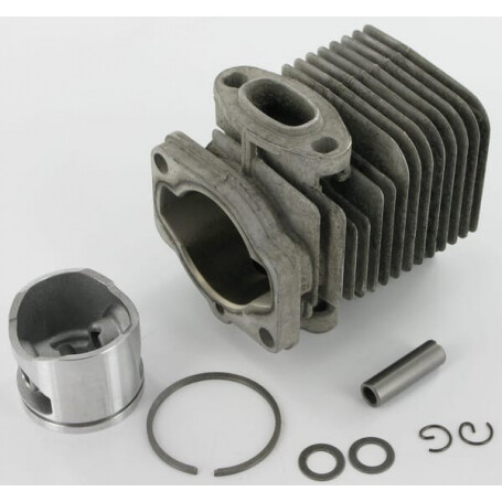 Piston ALPINA ALP8541093