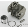 Piston ALPINA ALP8541093