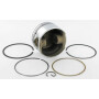 Piston BRIGGS ET STRATTON 795430