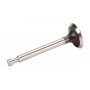 Soupape d'admission HONDA 14711ZF0010
