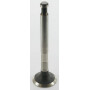 Soupape d'échappement HONDA 14721887000