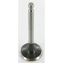 Soupape d'échappement HONDA 14721ZE3000