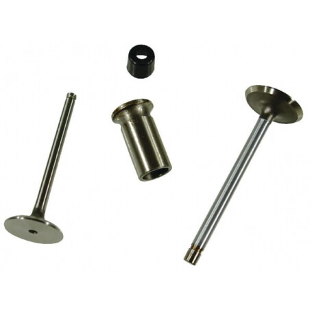 Soupape d'échappement UNIVERSEL R79624N