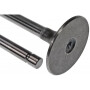 Soupape d'échappement VAPORMATIC VPA1019
