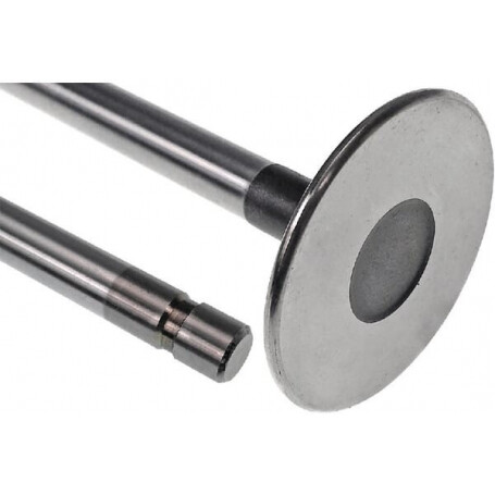Soupape d'échappement VAPORMATIC VPA1021