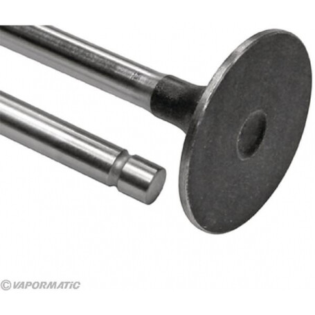 Soupape d'admission VAPORMATIC VPA1023