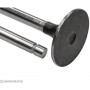 Soupape d'admission VAPORMATIC VPA1023