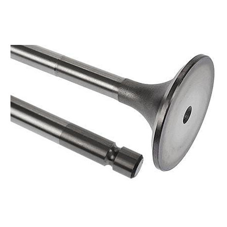 Soupape d'admission VAPORMATIC VPA1028